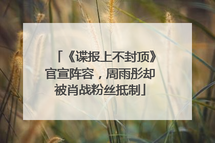 《谍报上不封顶》官宣阵容，周雨彤却被肖战粉丝抵制