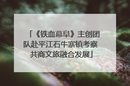 《铁血幕阜》主创团队赴平江石牛寨镇考察 共商文旅融合发展