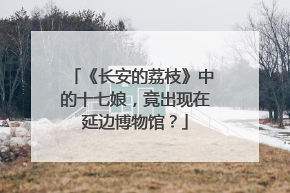 《长安的荔枝》中的十七娘，竟出现在延边博物馆？