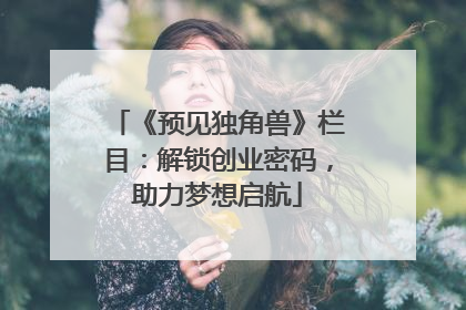 《预见独角兽》栏目：解锁创业密码，助力梦想启航