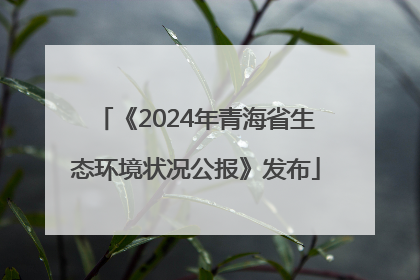 《2024年青海省生态环境状况公报》发布