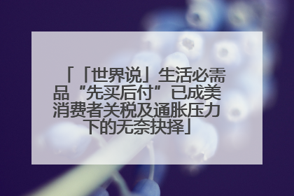 「世界说」生活必需品“先买后付”已成美消费者关税及通胀压力下的无奈抉择