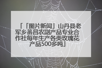 「图片新闻」山丹县老军乡蕃昌农副产品专业合作社每年生产各类玫瑰花产品500多吨