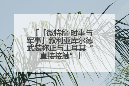 「微特稿·时事与军事」叙利亚库尔德武装称正与土耳其“直接接触”