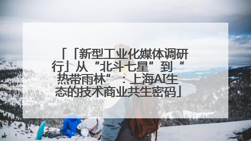 「新型工业化媒体调研行」从“北斗七星”到“热带雨林”：上海AI生态的技术商业共生密码