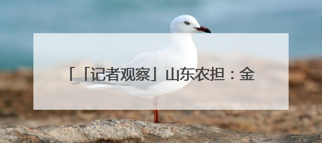 「记者观察」山东农担：金融活水“贷”动养殖业发展