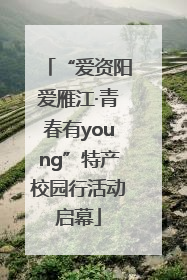 “爱资阳爱雁江·青春有young”特产校园行活动启幕