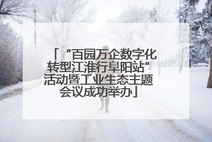 “百园万企数字化转型江淮行阜阳站”活动暨工业生态主题会议成功举办