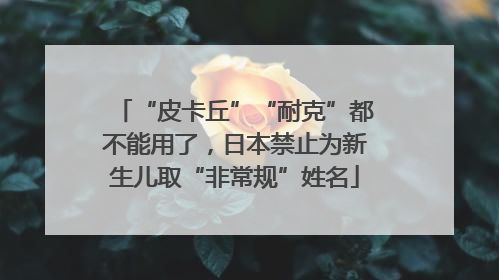 “皮卡丘”“耐克”都不能用了，日本禁止为新生儿取“非常规”姓名