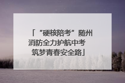 “硬核陪考”随州消防全力护航中考 筑梦青春安全路