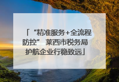 “精准服务+全流程防控” 莱西市税务局护航企业行稳致远