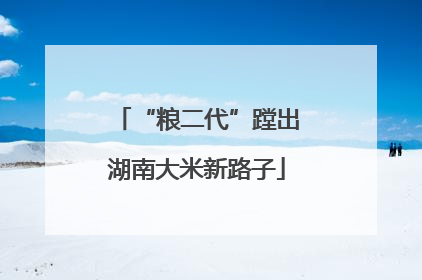 “粮二代”蹚出湖南大米新路子