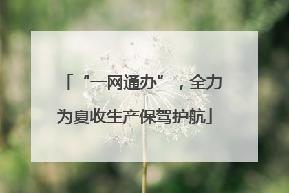 “一网通办”，全力为夏收生产保驾护航