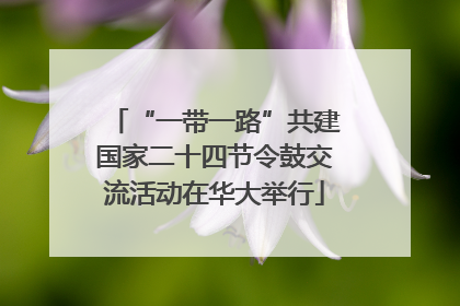 “一带一路”共建国家二十四节令鼓交流活动在华大举行
