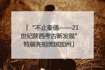 “不止秦俑——21世纪陕西考古新发现”特展亮相美国加州