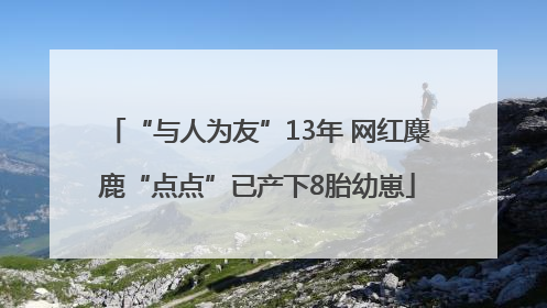 “与人为友”13年 网红麋鹿“点点”已产下8胎幼崽
