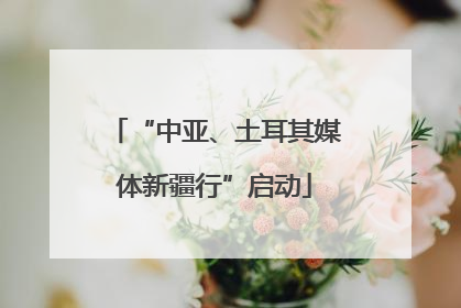 “中亚、土耳其媒体新疆行”启动