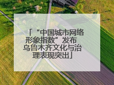 “中国城市网络形象指数”发布 乌鲁木齐文化与治理表现突出