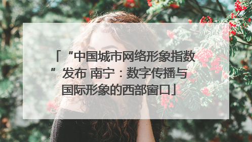 “中国城市网络形象指数”发布 南宁：数字传播与国际形象的西部窗口