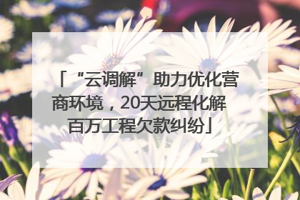 “云调解”助力优化营商环境，20天远程化解百万工程欠款纠纷