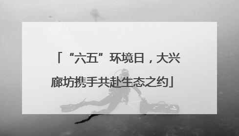 “六五”环境日，大兴廊坊携手共赴生态之约