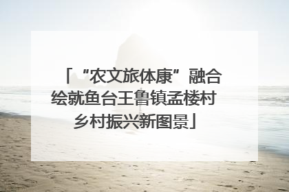 “农文旅体康”融合绘就鱼台王鲁镇孟楼村乡村振兴新图景