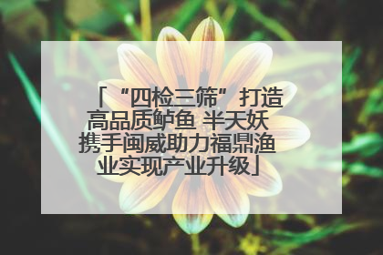 “四检三筛”打造高品质鲈鱼 半天妖携手闽威助力福鼎渔业实现产业升级