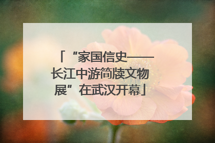 “家国信史——长江中游简牍文物展”在武汉开幕