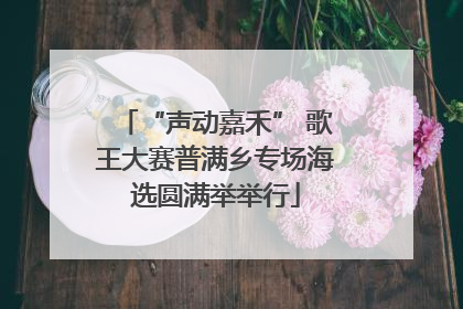 “声动嘉禾” 歌王大赛普满乡专场海选圆满举举行