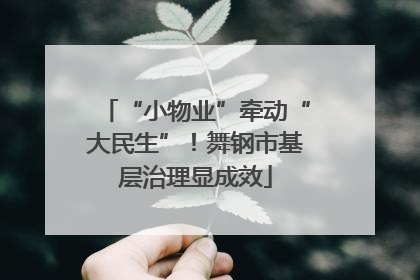 “小物业”牵动“大民生”！舞钢市基层治理显成效