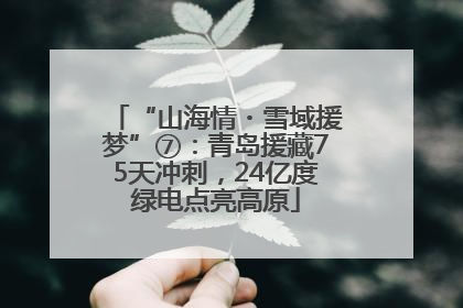 “山海情・雪域援梦”⑦：青岛援藏75天冲刺，24亿度绿电点亮高原