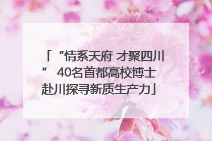 “情系天府 才聚四川” 40名首都高校博士赴川探寻新质生产力