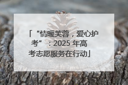“情暖芙蓉，爱心护考”：2025 年高考志愿服务在行动