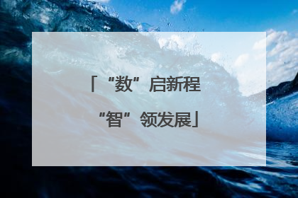 “数”启新程 “智”领发展