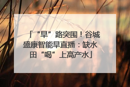 “旱”路突围！谷城盛康智能旱直播：缺水田“喝”上高产水