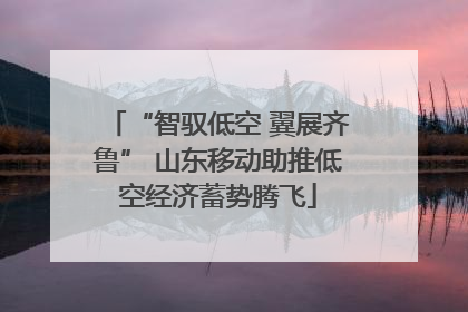 “智驭低空 翼展齐鲁” 山东移动助推低空经济蓄势腾飞