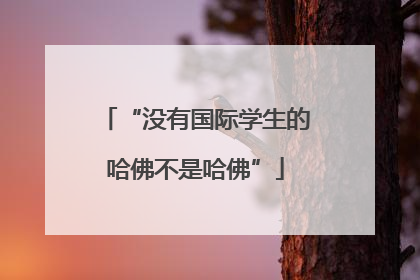 “没有国际学生的哈佛不是哈佛”