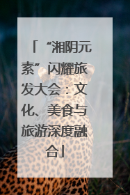 “湘阴元素”闪耀旅发大会：文化、美食与旅游深度融合