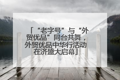 “老字号”与“外贸优品”同台共舞，外贸优品中华行活动在济盛大启幕