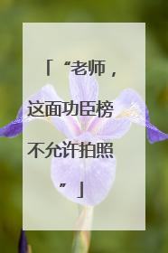 “老师，这面功臣榜不允许拍照”