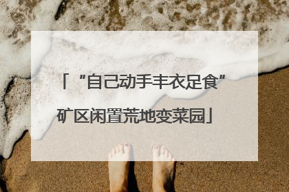 “自己动手丰衣足食”矿区闲置荒地变菜园