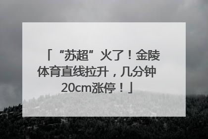 “苏超”火了！金陵体育直线拉升，几分钟20cm涨停！