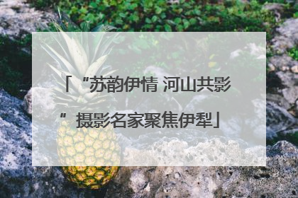 “苏韵伊情 河山共影”摄影名家聚焦伊犁