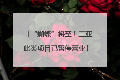 “蝴蝶”将至！三亚此类项目已暂停营业