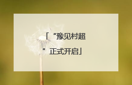 “豫见村超”正式开启