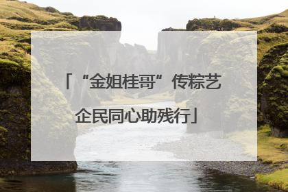“金姐桂哥”传粽艺 企民同心助残行