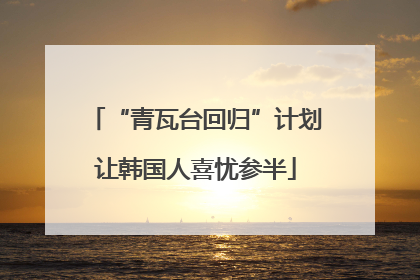 “青瓦台回归”计划让韩国人喜忧参半