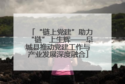 “链上党建”助力“链”上生辉——阜城县推动党建工作与产业发展深度融合