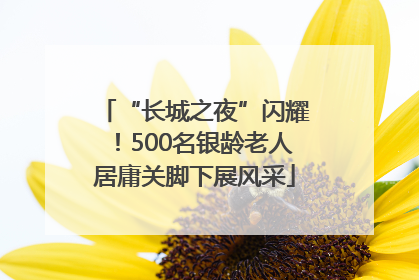 “长城之夜”闪耀！500名银龄老人居庸关脚下展风采
