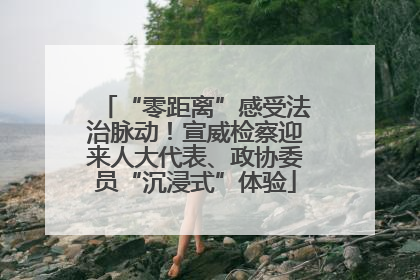 “零距离”感受法治脉动！宣威检察迎来人大代表、政协委员“沉浸式”体验